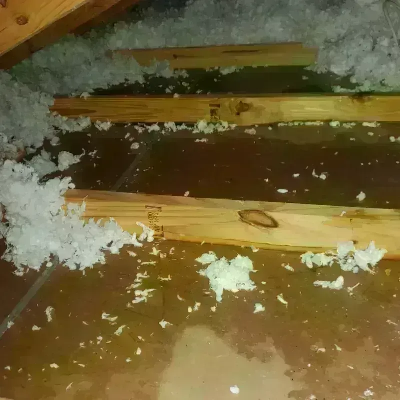 Attic Water Damage in Troutdale, OR